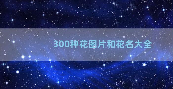 300种花图片和花名大全