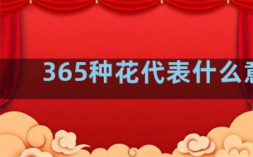 365种花代表什么意思