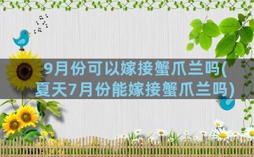 9月份可以嫁接蟹爪兰吗(夏天7月份能嫁接蟹爪兰吗)