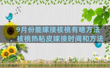 9月份能嫁接核桃有啥方法，核桃热粘皮嫁接时间和方法