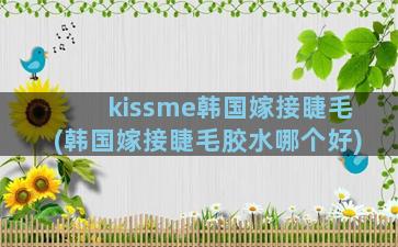 kissme韩国嫁接睫毛(韩国嫁接睫毛胶水哪个好)