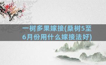 一树多果嫁接(桑树5至6月份用什么嫁接法好)