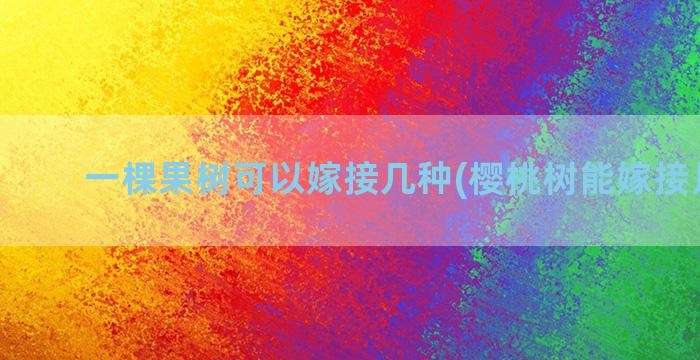 一棵果树可以嫁接几种(樱桃树能嫁接月季吗)