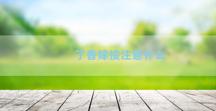 丁香嫁接注意什么