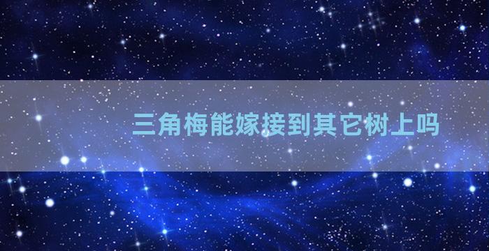 三角梅能嫁接到其它树上吗