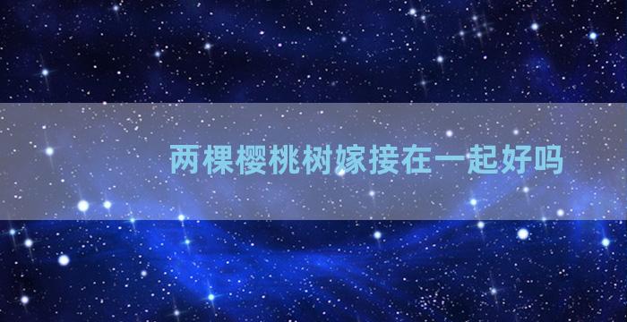 两棵樱桃树嫁接在一起好吗