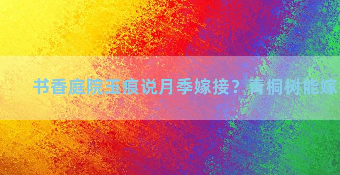 书香庭院玉痕说月季嫁接？青桐树能嫁接月季吗