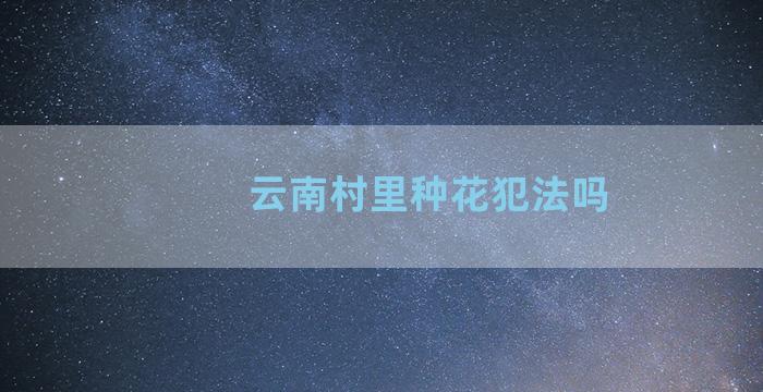 云南村里种花犯法吗