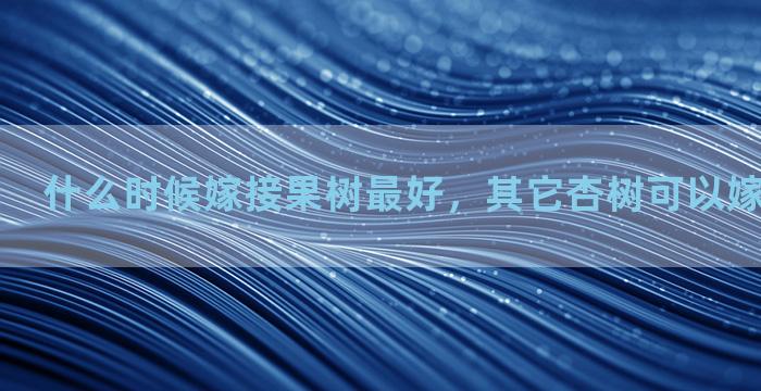 什么时候嫁接果树最好，其它杏树可以嫁接丰园红吗