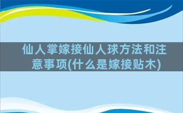 仙人掌嫁接仙人球方法和注意事项(什么是嫁接贴木)