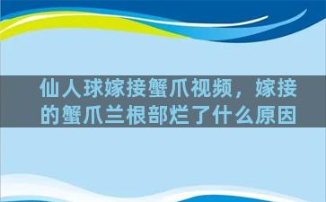 仙人球嫁接蟹爪视频，嫁接的蟹爪兰根部烂了什么原因