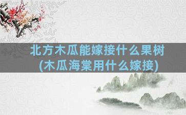 北方木瓜能嫁接什么果树(木瓜海棠用什么嫁接)