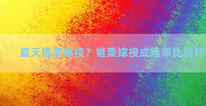 夏天锥栗嫁接？锥栗嫁接成活率比较好的嫁接法