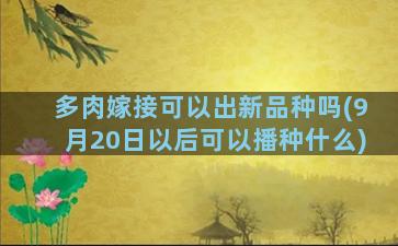 多肉嫁接可以出新品种吗(9月20日以后可以播种什么)