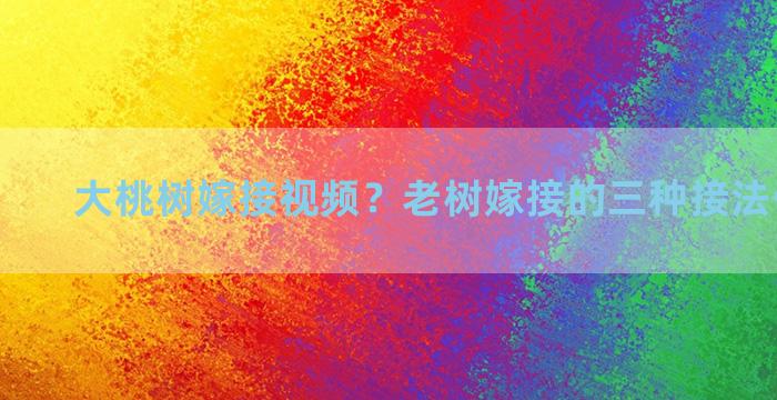 大桃树嫁接视频？老树嫁接的三种接法什么最好