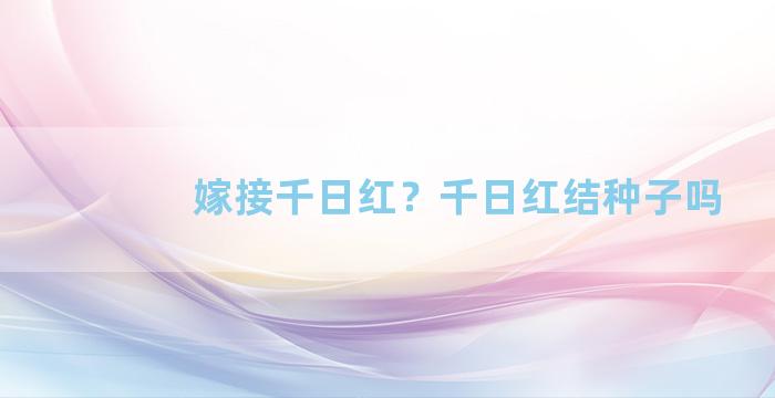 嫁接千日红？千日红结种子吗