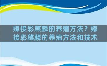 嫁接彩麒麟的养殖方法？嫁接彩麒麟的养殖方法和技术