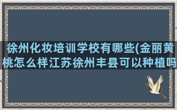 徐州化妆培训学校有哪些(金丽黄桃怎么样江苏徐州丰县可以种植吗)