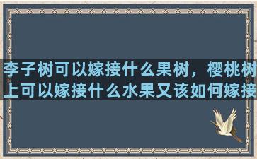 李子树可以嫁接什么果树，樱桃树上可以嫁接什么水果又该如何嫁接