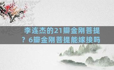 李连杰的21瓣金刚菩提？6瓣金刚菩提能嫁接吗