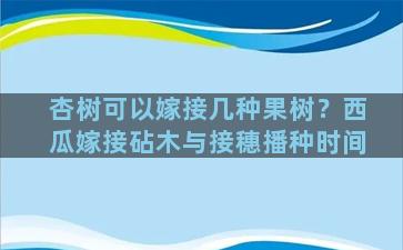 杏树可以嫁接几种果树？西瓜嫁接砧木与接穗播种时间