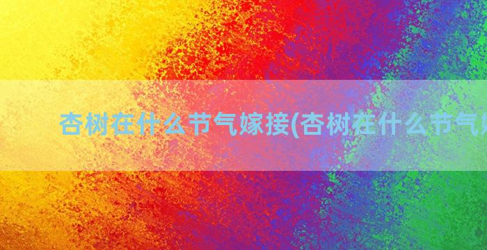 杏树在什么节气嫁接(杏树在什么节气嫁接好)