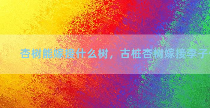 杏树能嫁接什么树，古桩杏树嫁接李子价值高吗