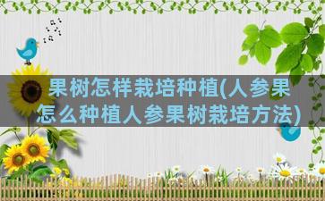 果树怎样栽培种植(人参果怎么种植人参果树栽培方法)