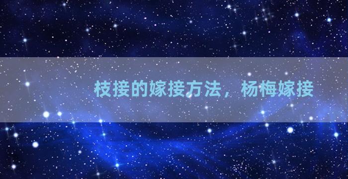 枝接的嫁接方法，杨梅嫁接