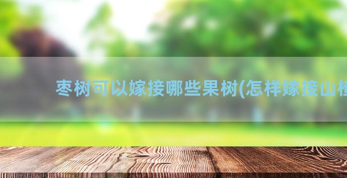 枣树可以嫁接哪些果树(怎样嫁接山楂树)