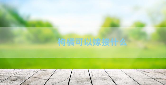 枸橘可以嫁接什么