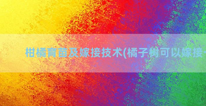 柑橘育苗及嫁接技术(橘子树可以嫁接一半吗)