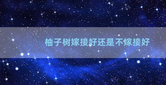 柚子树嫁接好还是不嫁接好