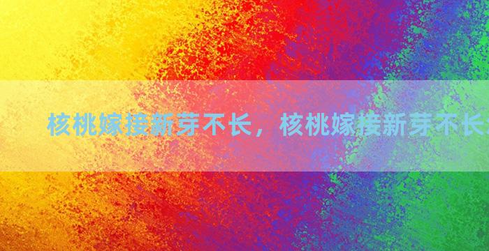 核桃嫁接新芽不长，核桃嫁接新芽不长怎么回事