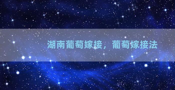 湖南葡萄嫁接，葡萄嫁接法