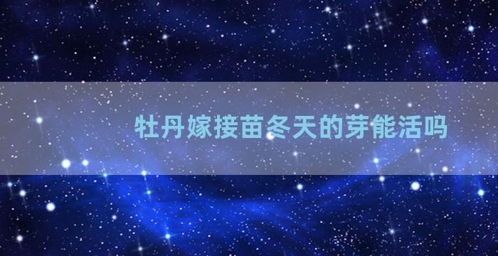 牡丹嫁接苗冬天的芽能活吗