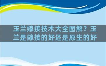 玉兰嫁接技术大全图解？玉兰是嫁接的好还是原生的好