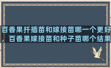 百香果扦插苗和嫁接苗哪一个更好，百香果嫁接苗和种子苗哪个结果快