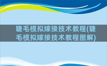 睫毛模拟嫁接技术教程(睫毛模拟嫁接技术教程图解)