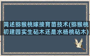 简述猕猴桃嫁接育苗技术(猕猴桃初建园实生砧木还是水杨桃砧木)