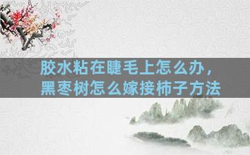 胶水粘在睫毛上怎么办，黑枣树怎么嫁接柿子方法