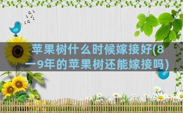 苹果树什么时候嫁接好(8一9年的苹果树还能嫁接吗)