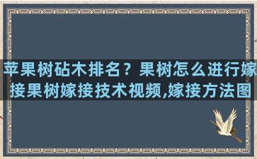 苹果树砧木排名？果树怎么进行嫁接果树嫁接技术视频,嫁接方法图解