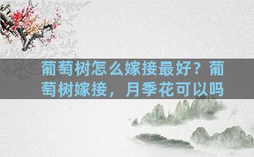 葡萄树怎么嫁接最好？葡萄树嫁接，月季花可以吗