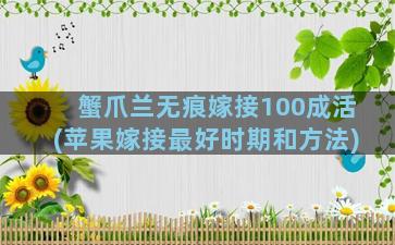 蟹爪兰无痕嫁接100成活(苹果嫁接最好时期和方法)