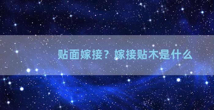 贴面嫁接？嫁接贴木是什么