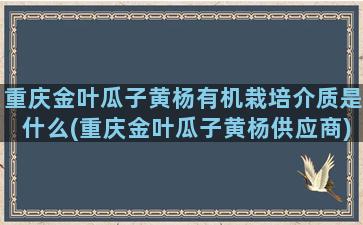 重庆金叶瓜子黄杨有机栽培介质是什么(重庆金叶瓜子黄杨供应商)