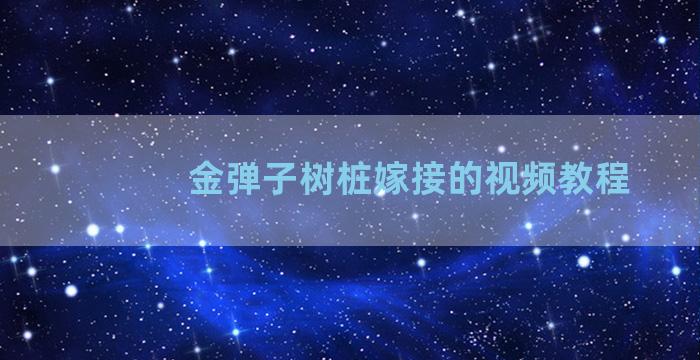 金弹子树桩嫁接的视频教程