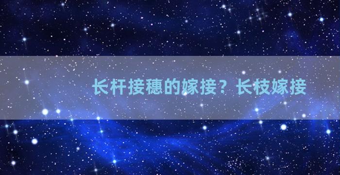 长杆接穗的嫁接？长枝嫁接