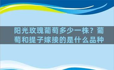 阳光玫瑰葡萄多少一株？葡萄和提子嫁接的是什么品种